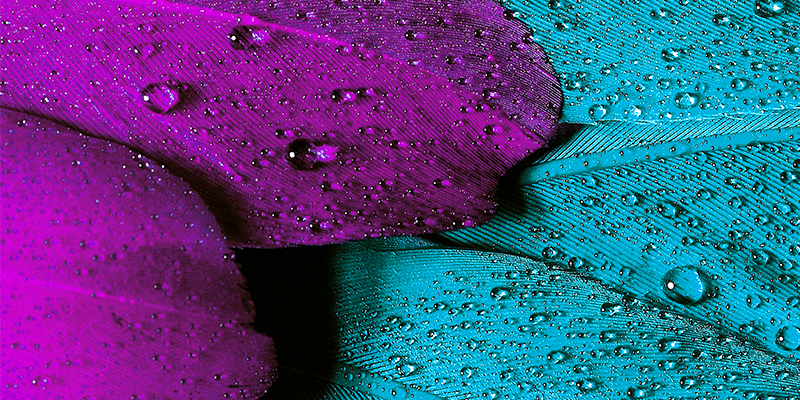 Progetto Aurora Donna