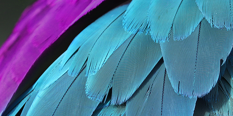 Progetto Aurora Donna